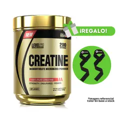 LEVEL PRO - CREATINA MICRONIZADA 500G + STRAPS