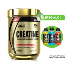 LEVEL PRO - CREATINA MICRONIZADA 500G + X-B