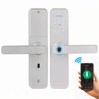 OEM - Cerradura Inteligente Smart Chapa Biometrica Digital Wifi Plata X9