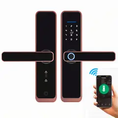 OEM - Cerradura Inteligente Smart Chapa Biometrica Digital Wifi Dorado X9