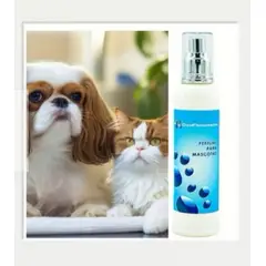 CIEN FRAGANCIAS - PERFUME VEGAN MASCOTA MACHO CIENFRAGANCIAS CIEN AROMAS 150ML