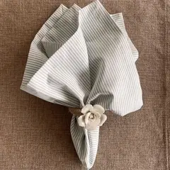 D'MESA - Set 4 servilletas rayas delgadas verdes