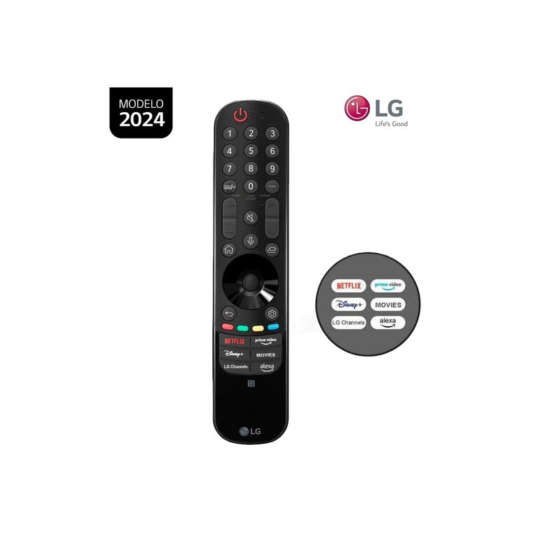Control Remoto Magic Remote MR24GN