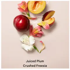 VICTORIA'S SECRET - SET DE REGALO VICTORIA SECRET PURE SEDUCTION