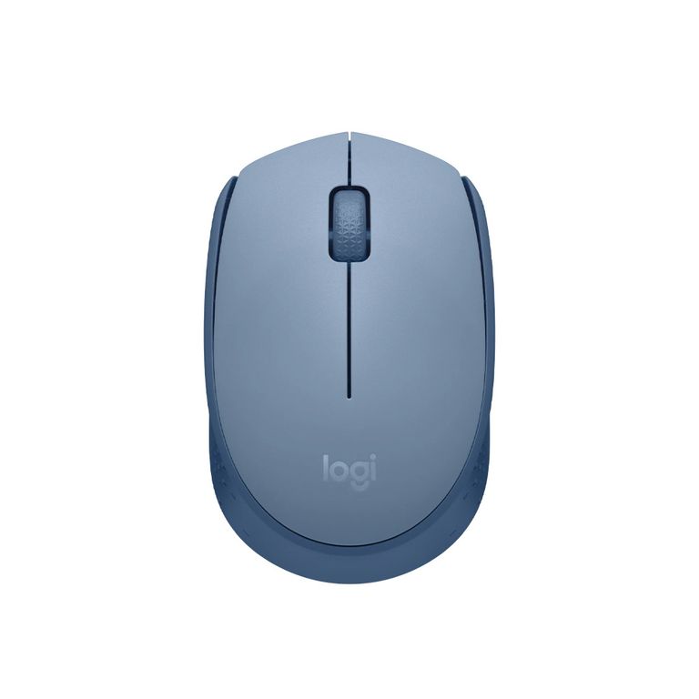 MOUSE M170 ACERO