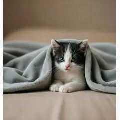 GENERICO - Set de 2 Mantas de Polar color gris, para Mascotas