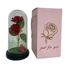 GENERICO - Rosa Eterna Encapsulada Musical - Regalo Dia De La Madre