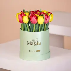 MAGIA PE - Box 20 Tulipanes Premium -Box Tulip Jade" Magia.pe