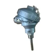 GENERICO - Termocupla Rtd Pt100 C/ Cabezal De Aluminio 3/8 X 2