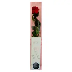 GENERICO - Rosa Eterna Roja Florelima Atelier
