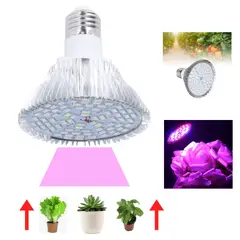 GENERICO - FOCO LED PARA PLANTAS DE ESPECTRO COMPLETO 50W 78 LEDS