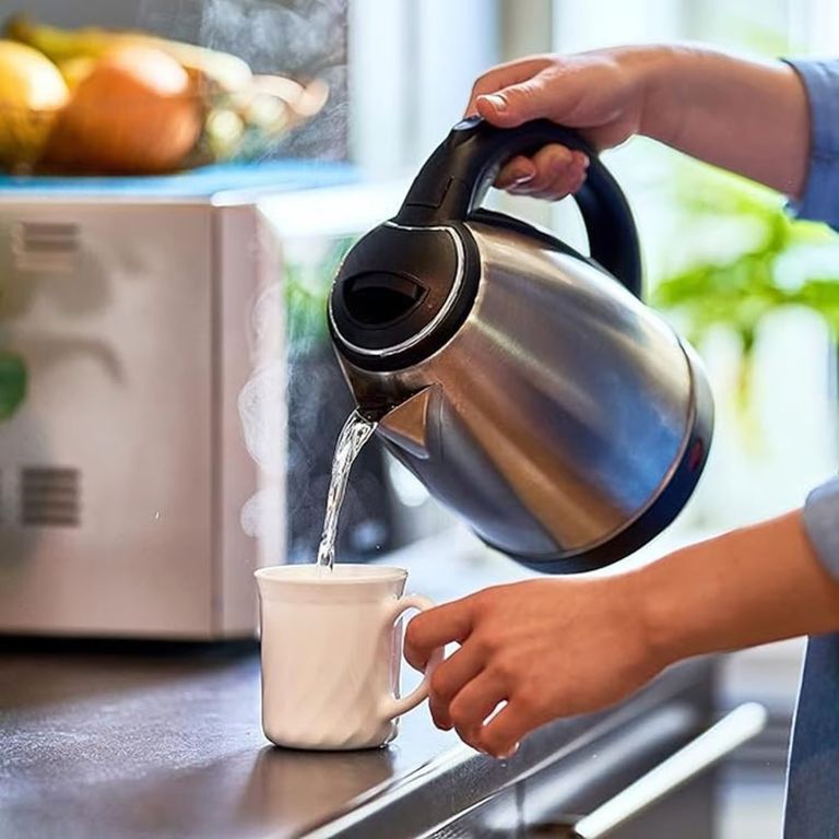 HERVIDORA PLATEADO ELÉCTRICO DE VIDRIO BOROSILICATO 2L