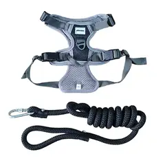PIONEER - Pechera Arnés Para Mascotas Perros Con Jalador Tallas M