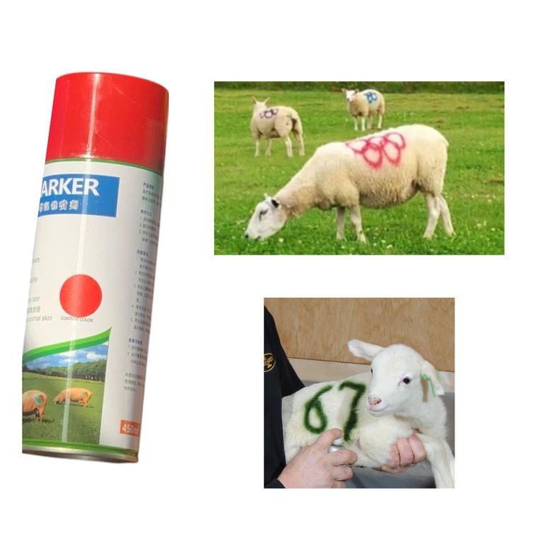 SPRAY MARCADOR ROJO PARA GANADO CERDO OVEJA VACA ETC