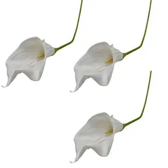 FLORIPA - Pack De 3 Flor Cartucho Grande 8512 FLORIPASTORE