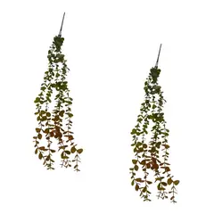 FLORIPA - Pack De 2 Colgante De Eucalipto Otoñal BG 231289 FLORIPASTORE