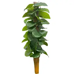 FLORIPA - Planta Artificial De Hojas Costilla de Adam BG 490007 FLORIPASTORE