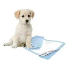 QUICK - 100 Pañales Tipo Sabanillas Mascotas Perros 45x60 Cms