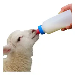 GENERICO - BOTELLA ALIMENTACION PARA ANIMALES 250ML AZUL