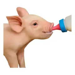 GENERICO - BOTELLA CON TETINA PARA LECHE MASCOTA 500ML AZUL