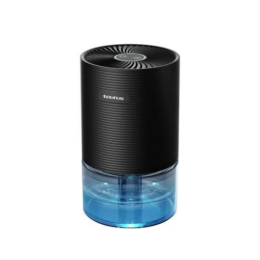 Deshumedecedor Portátil Negro DH 250