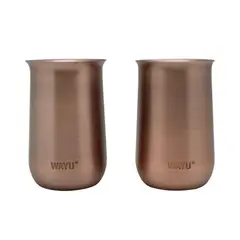WAYU - SET 2 VASOS APERITIVO COPPER LINE