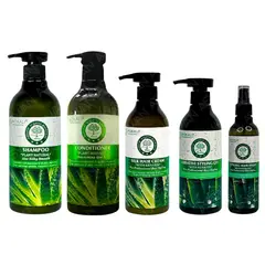 WOKALI - PACK 5 ALOE VERA SHAMPOO & ACON 550ML & CREMA ALOE & FIJADOR BAMBÚ & LACA BAMBÚ -