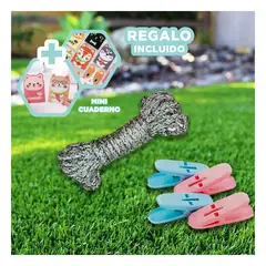 GENERICO - Pack6 Perchas de Colores y Curvos Y+Regalo Agendita