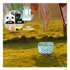 GENERICO - Pack5 Canasta Bonita con Ganchos en Verde Y+Regalo Agendita