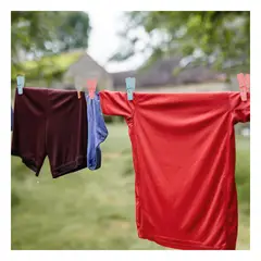 GENERICO - Pack3 Perchas para Organizar Tu Closet Y+Papel de Regalo