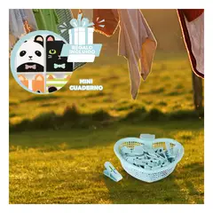 GENERICO - Pack5 Canasta Bonita con Ganchos en Verde Y+Regalo Agendita