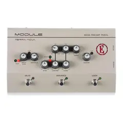 EDEN - Pedal Analógico - - Module - Gris