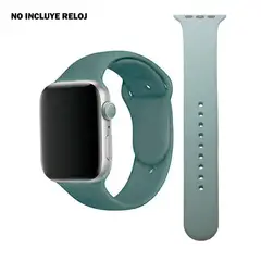 SUNTIME - ACCESORIO CORREA RELOJ UNISEX CRS01 SMART TIME 1020256