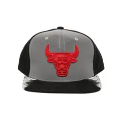 MITCHELL & NESS - GORRA NBA DAY 5 SNAPBACK BULLS HHSS1102-CBUYYPPPGYBK PLOMO URBANO 1026542