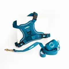 BUDDIES - Arnes Pechera y correa 152cm mascotas AZUL XS