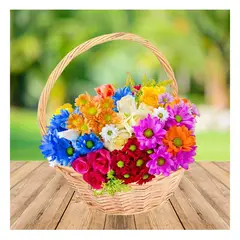 RYBIU IMPORT - Pack4 Cesta Multifuncional de 24x24x25cm Y+Regalo Agendita