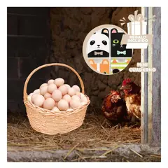 RYBIU IMPORT - Pack12 Canastilla Util de 24x24x25cm Y+Regalo Agendita