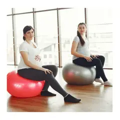 GENERICO - Pelota Pilates Yoga 65cm Fucsia