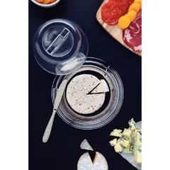 TRAMONTINA - Juego para queso Ciclo de acero inoxidable de 20cm 64510620