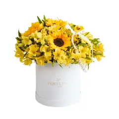 GENERICO - Box Girasoles y Astromelias