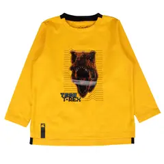 PILLIN - Polo Niño PVB629-25AMA