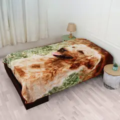 ESKIMO - Frazada Premium Plaza y Media