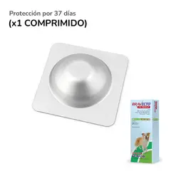 BRAVECTO - 1M Triple x1 Comprimido para perros de 10 - 20 kg