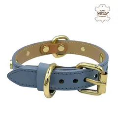 PERRY JHAN - Correa Collar Para Mascotas de Cuero - Talla S