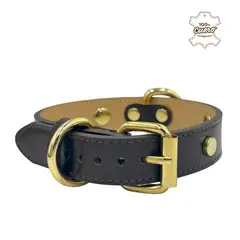 PERRY JHAN - Correa Collar Para Mascotas de Cuero - Talla M