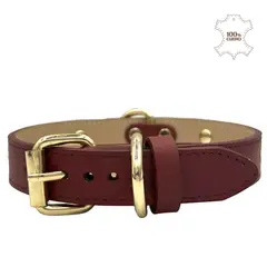 PERRY JHAN - Correa Collar Para Mascotas de Cuero - Talla XL