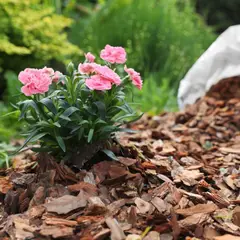 NACIONAL - Mulch organico de 27LT