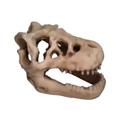 GENERICO - Adorno decorativo resina fósil tiranosaurio rex para peceras