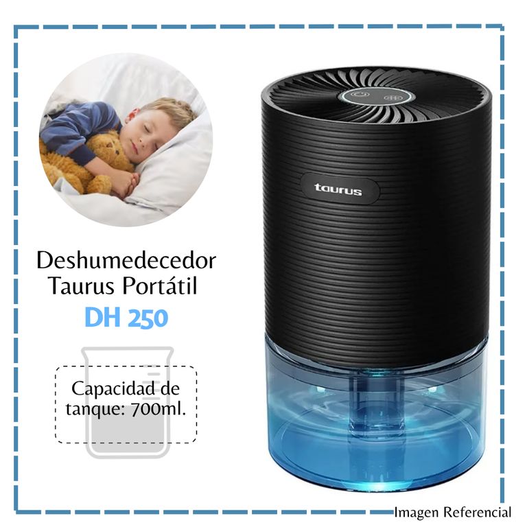 Deshumedecedor Portátil - DH-250