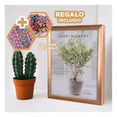 GENERICO - Pack9 Marco de Fotos Elegante para Repisa Y+Ligas de Regalo